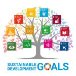 再エネ設備の新規導入と省エネルギー対策の取組状況を公表